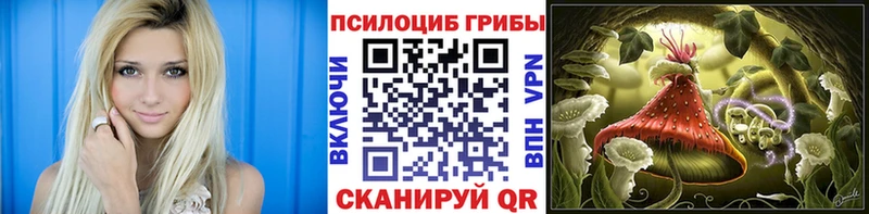 где купить наркотик  Нарьян-Мар  Галлюциногенные грибы Cubensis 